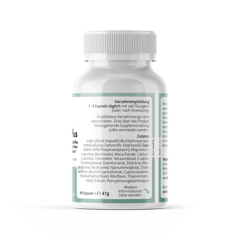 Multivitamin Plus - 90 vegane Kapseln ohne Füllstoffe