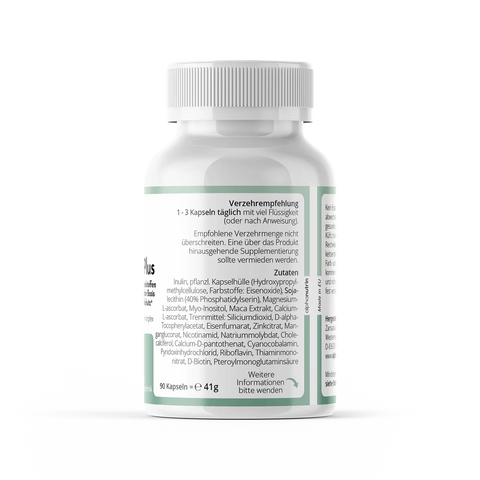 Multivitamin Plus - 90 vegane Kapseln ohne Füllstoffe