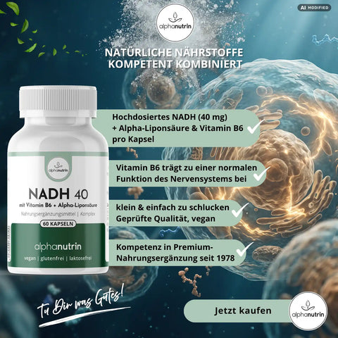 NADH 40 Komplex - 60 vegane Kapseln ohne Füllstoffe